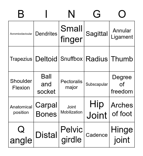 Kinesiology Bingo Card