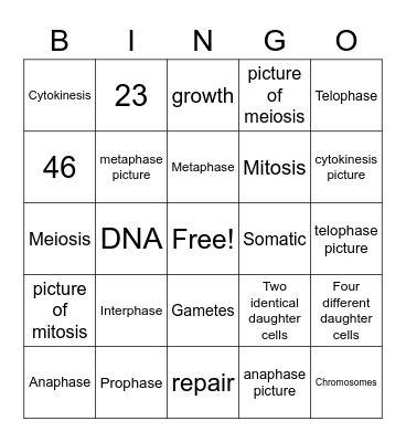 Mitosis vs Meiosis Bingo Card