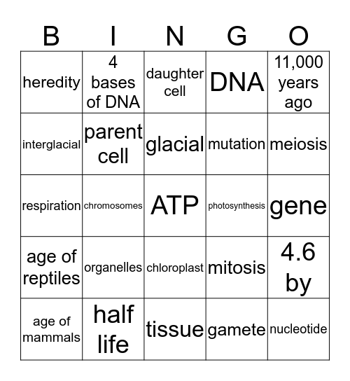 Honors Bingo 3 Bingo Card