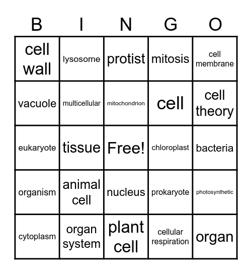 Cells Bingo Card