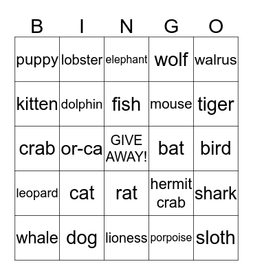 animal fun! Bingo Card