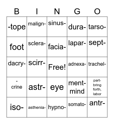 Lesson #7 Bingo Card