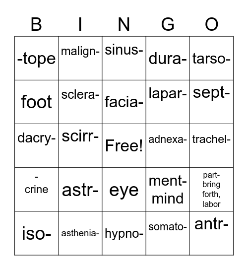 Lesson #7 Bingo Card