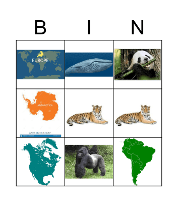 Animal continen Bingo Card