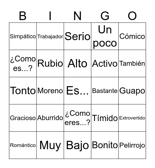 Describing Things Bingo Card