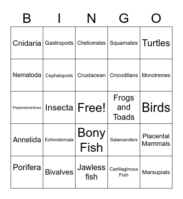 Animal Phylum Bingo Card