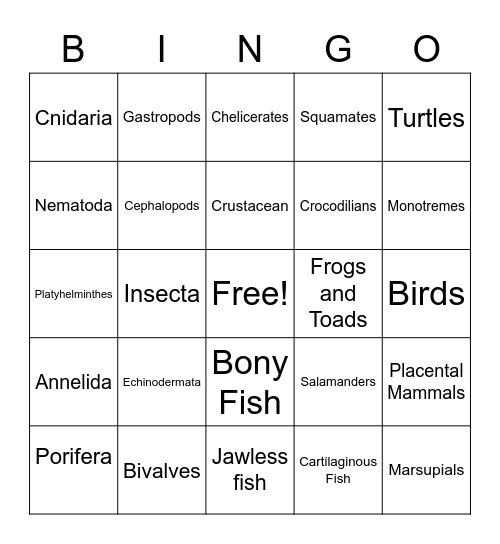 Animal Phylum Bingo Card