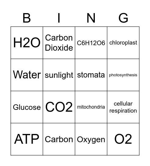 Photosynthesis & Respiration Bingo Card