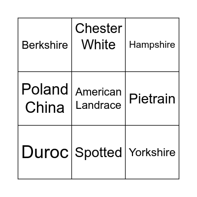 Pig Breeds Bingo Card