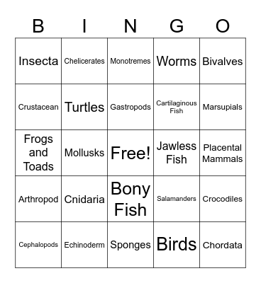 Animal Phylum Bingo Card