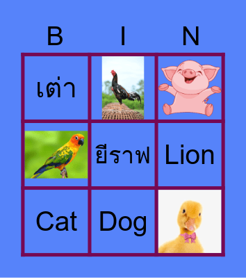 Animal Bingo Card