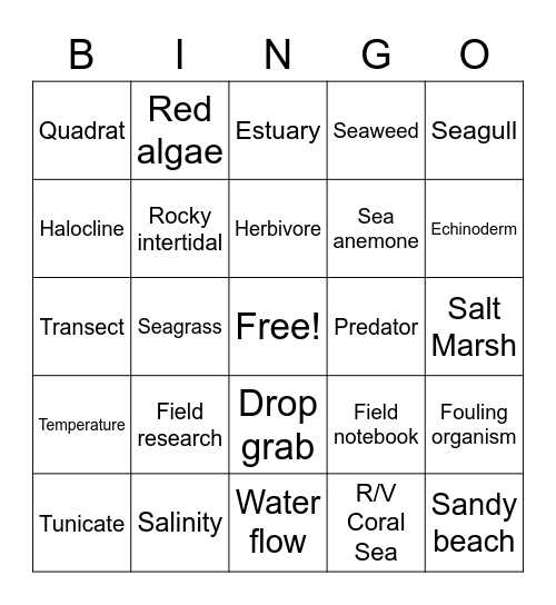 Marine Biology Bingo Card