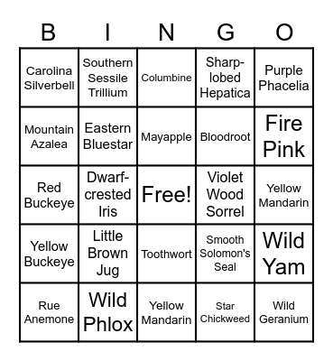 Common Wildflowers of the North Chickamauga Creek Gorge March through April Bingo Card