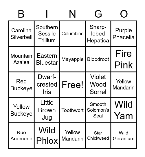 Common Wildflowers of the North Chickamauga Creek Gorge March through April Bingo Card