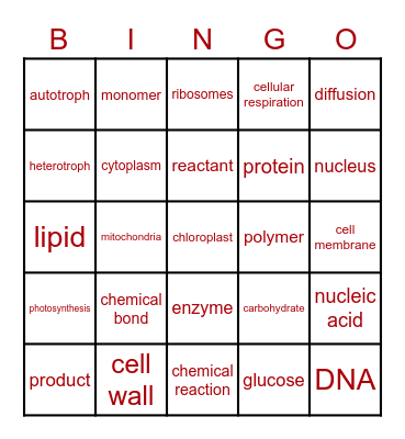 Biology A Final Vocab Bingo Card