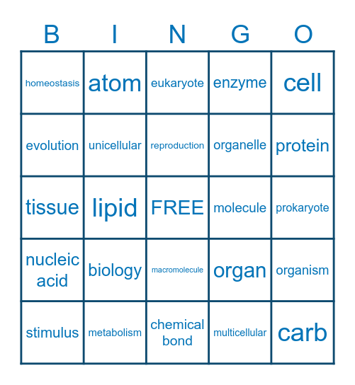 Biology A Final Vocab 1ST SET Bingo Card