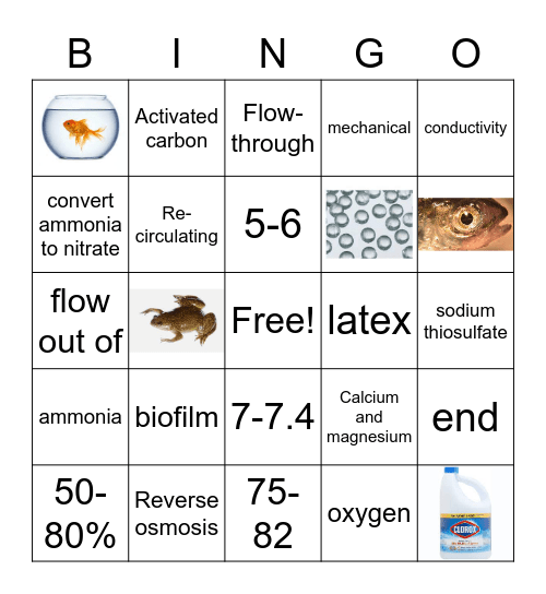 LAT Chapter 6 Bingo Card