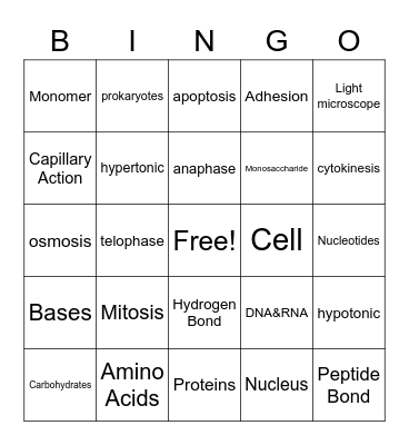 Biology Midterm Review Bingo Card