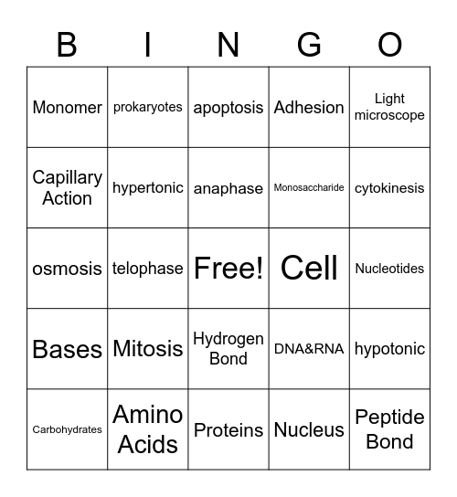 Biology Midterm Review Bingo Card