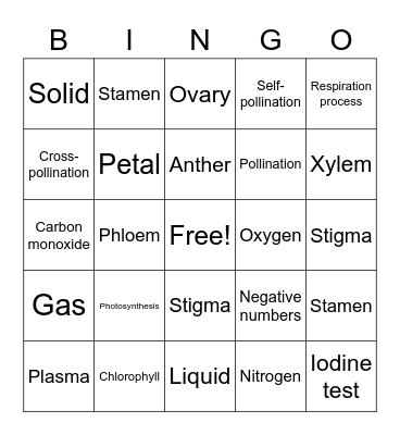 States of matter Bingo Card