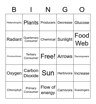 FOOD CHAIN / WEB Bingo Card