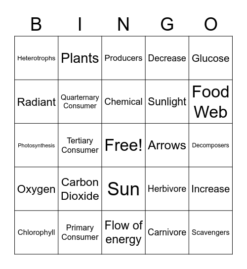 FOOD CHAIN / WEB Bingo Card