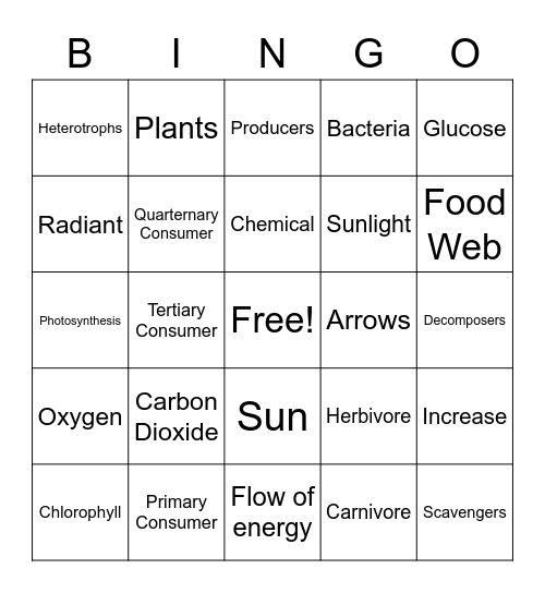 FOOD CHAIN / WEB Bingo Card