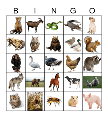 ANIMALS Bingo Card