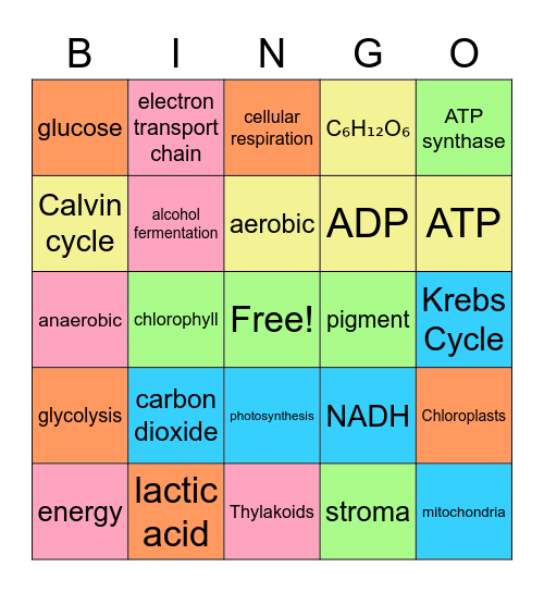 Transfer of Energy Bingo Card