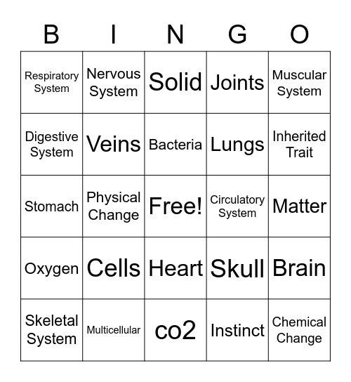2nd Quarter Vocabulary Bingo Card