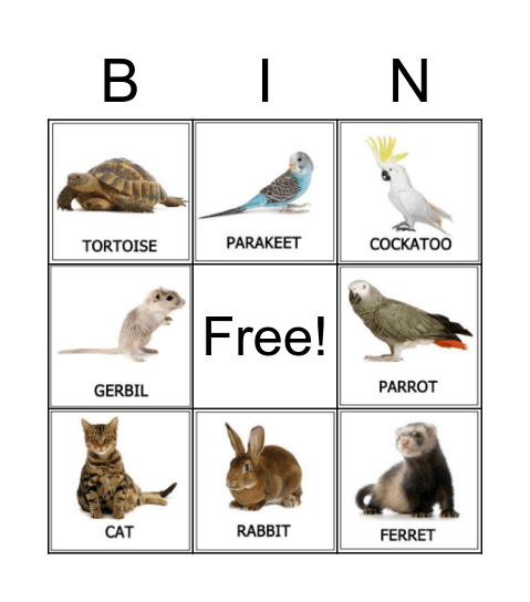 Pets Bingo Card