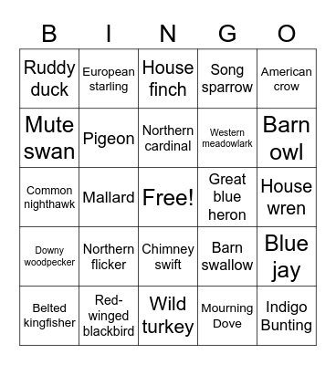 Bellwood Birding Bingo Card