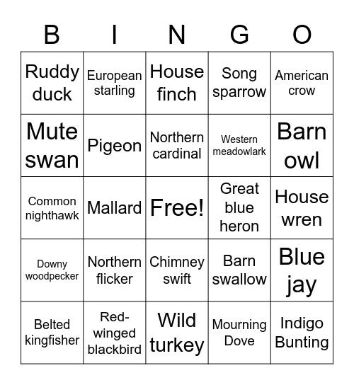 Bellwood Birding Bingo Card