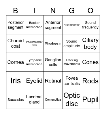 Special Senses Bingo Card