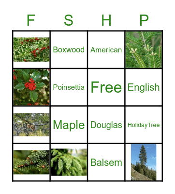 HOLIDAY GREENERY BINGO Card