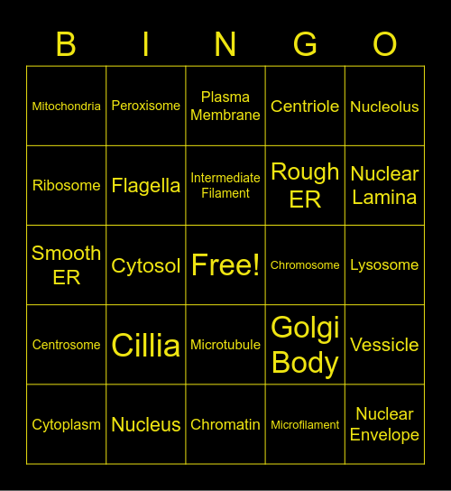 Cytology Bingo Card