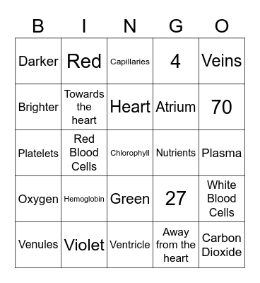 Circulatory System Bingo Card