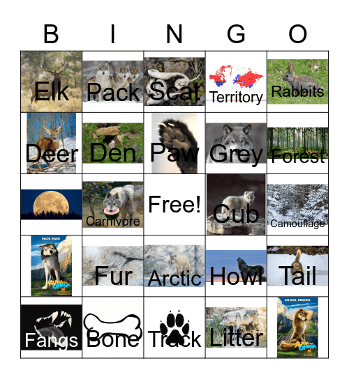Wolf Bingo Card