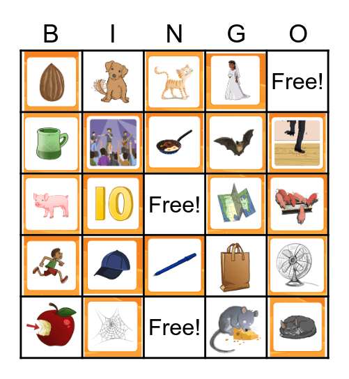 CVC Words Bingo Card