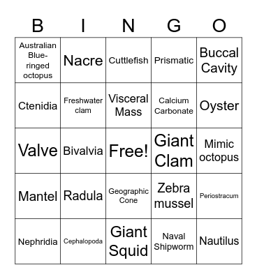 Mollusks Bingo Card
