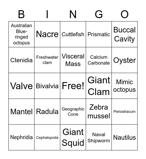 Mollusks Bingo Card