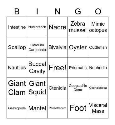 Mollusks Bingo Card