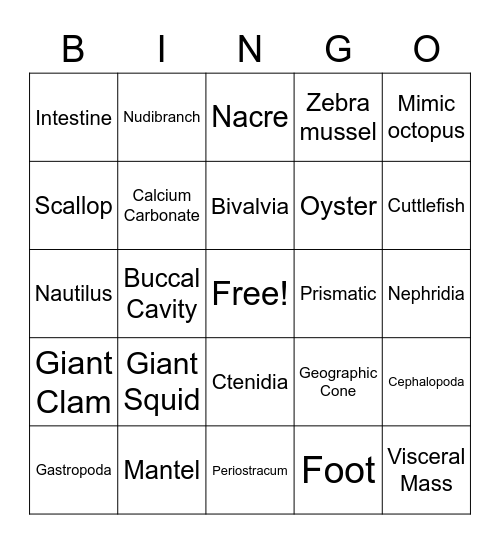 Mollusks Bingo Card