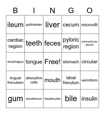 Digestive Bingo Card