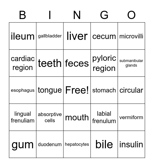 Digestive Bingo Card