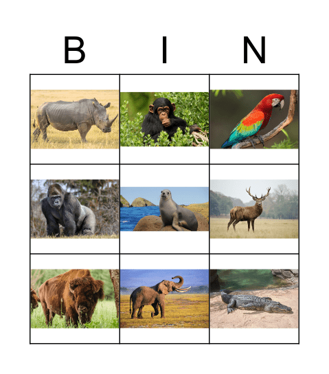 Animals Bingo Card