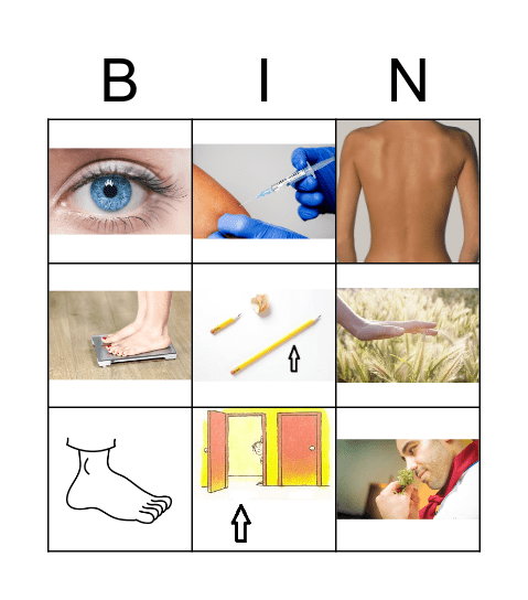Memory het lichaam Bingo Card