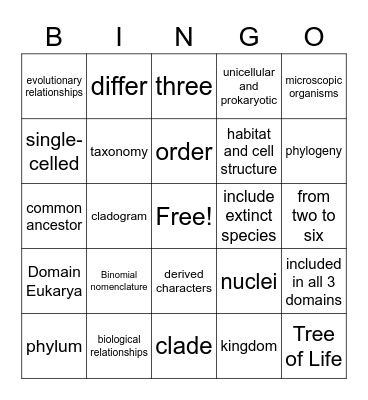 Biology Chapter 19 Biodiversity Bingo Card