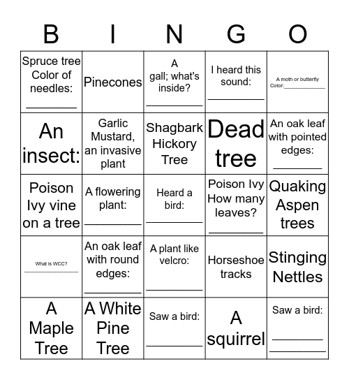 I Spy Nature Hike Bingo Card