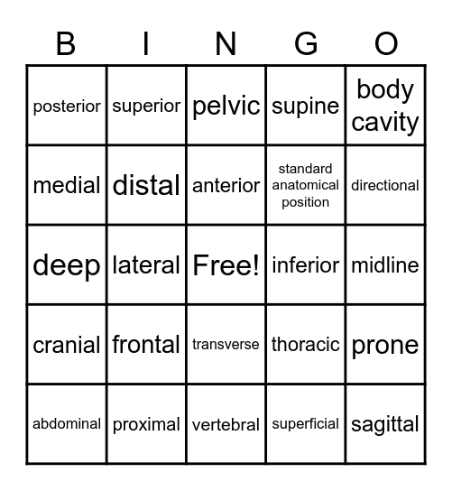 Anatomical Planes, Directions and Cavities Bingo Card